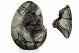 Septarian Dragon Egg Geode - Removable Section #203821-3